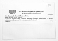 Image Associated With the Occurence